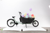 UB9053E 8 Speeds 250W Electric Cargo Bike
