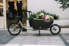 UB9053E 8 Speeds 250W Electric Cargo Bike