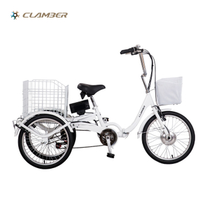 GW7005 20 Inch Three Wheel 7 speed tricycle for adults