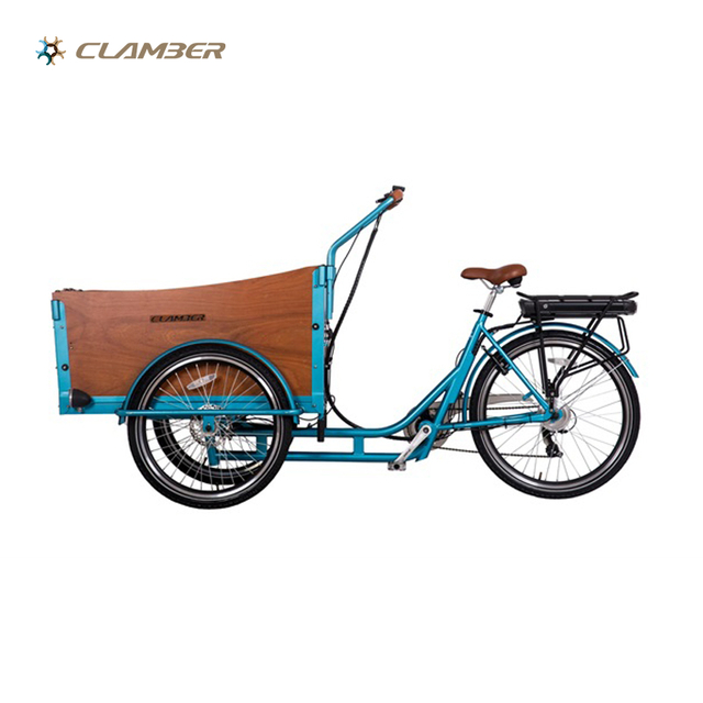 UB9032E-6S Family Electric Cargo Bike