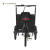 UB9036E Family Electric Cargo Bikes for kids