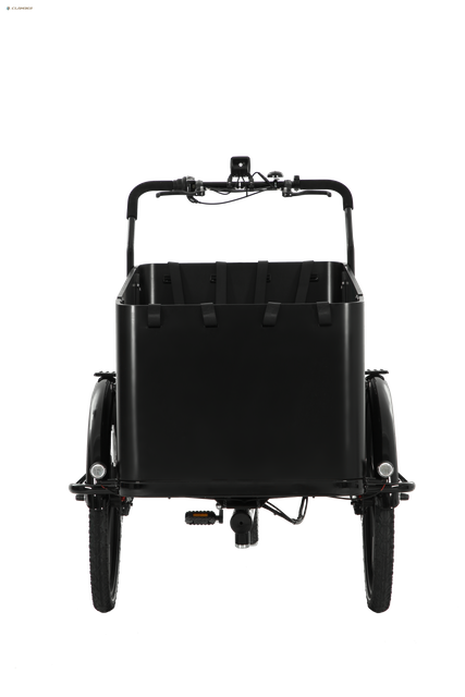 UB9054E 8 Speeds Electric Cargo Bike