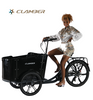 UB9050E 8 Speeds Electric Cargo Bike