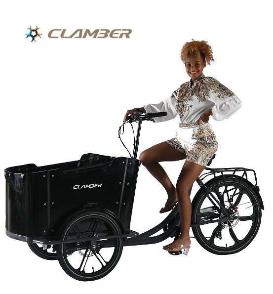 UB9050E 8 Speeds Electric Cargo Bike