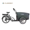 UB9031E-250W Electric Trike 6-Speed 3-Wheel Cargo Bike 