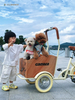UB9035L Colorful Pedal cargo bike for kids