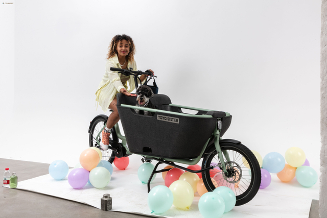 UB9053E 8 Speeds 250W Electric Cargo Bike