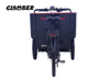 UB9046E-A 9 Speeds Electric Cargo Bike Used for Carrying Old People