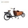 UB9016E-N7S 250W Electric Cargo Bike