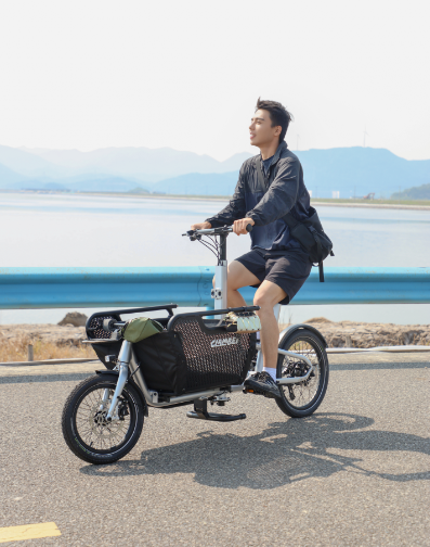 DIK DIK 9 Speeds Electric Cargo Bike for Family