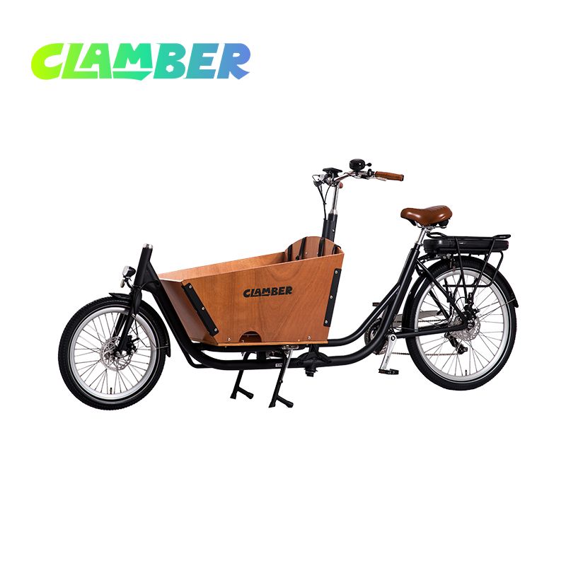UB9015E-Nexus 3 Speeds 250W Rear Hub Motor Electric Cargo Bike
