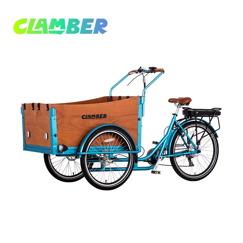 UB9032E-6S Family Electric Cargo Bike with Hydraulic Disc Brake