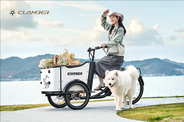 UB9050E 8 Speeds Electric Cargo Bike