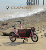 DIK DIK 9 Speeds Electric Cargo Bike for Family