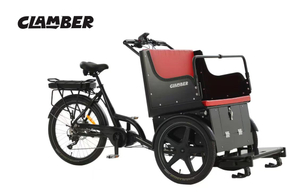 UB9046E-A 9 Speeds Electric Cargo Bike Used for Carrying Old People