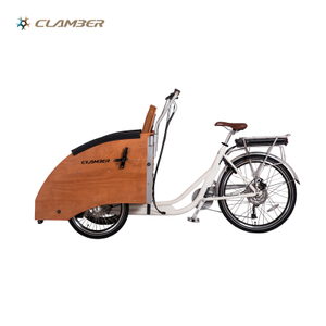 UB9043E Electric Cargo Bike Used for Carrying Old People