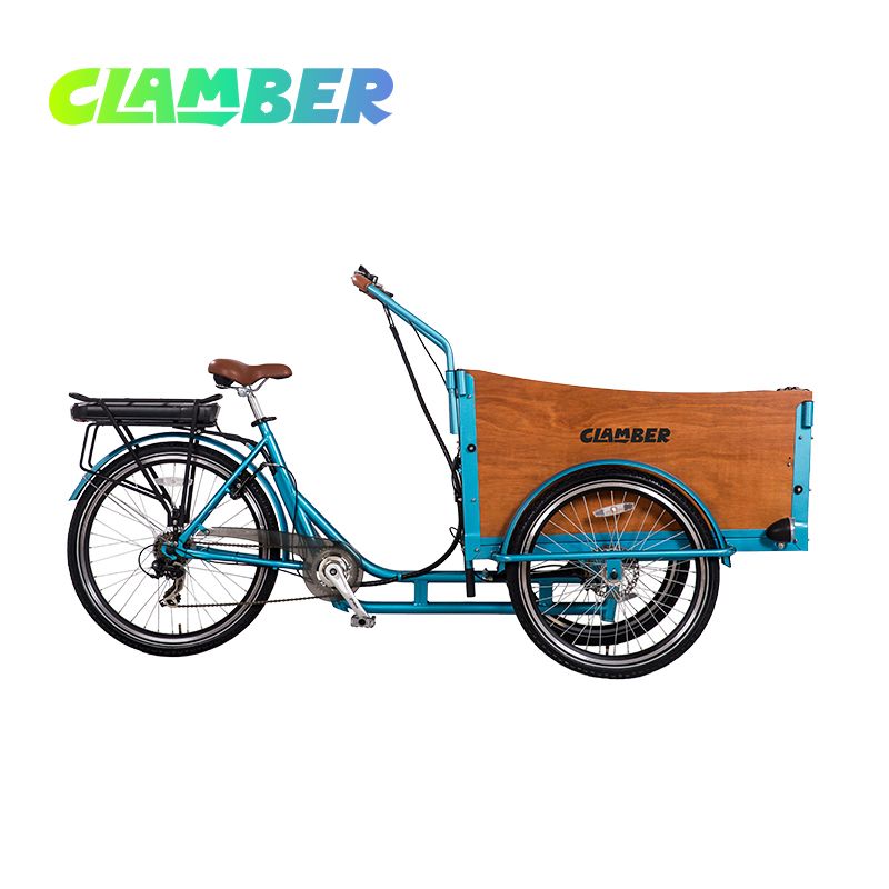UB9032E-6S Family Electric Cargo Bike with Hydraulic Disc Brake