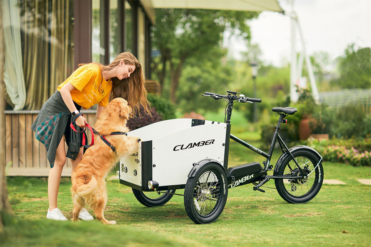 cargo-bike