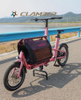 DIK DIK 9 Speeds Electric Cargo Bike for Family