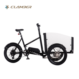 TUMBLER CLAMBER Brand 250W Electric Cargo bike Scooter 3 Wheel Cargo 