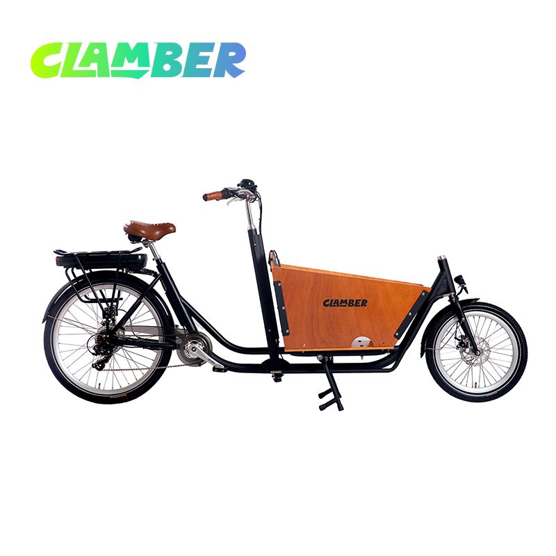 UB9015E-Nexus 3 Speeds 250W Rear Hub Motor Electric Cargo Bike