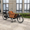 UB9015E-Nexus 3 Speeds 250W Rear Hub Motor Electric Cargo Bike