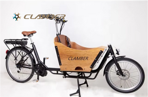 UB9041E 36V 250W Mid Motor 8-S Two Wheel Cargo bike