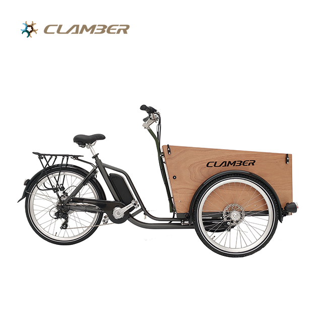 UB9042E-6S Adult Electric Cargo Bike