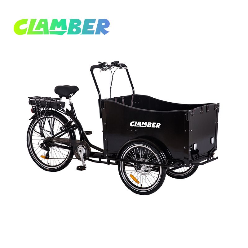 UB9019-7S Three Wheel Pedal Cargo Bike for Family