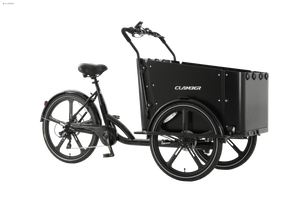 UB9054E 8 Speeds Electric Cargo Bike