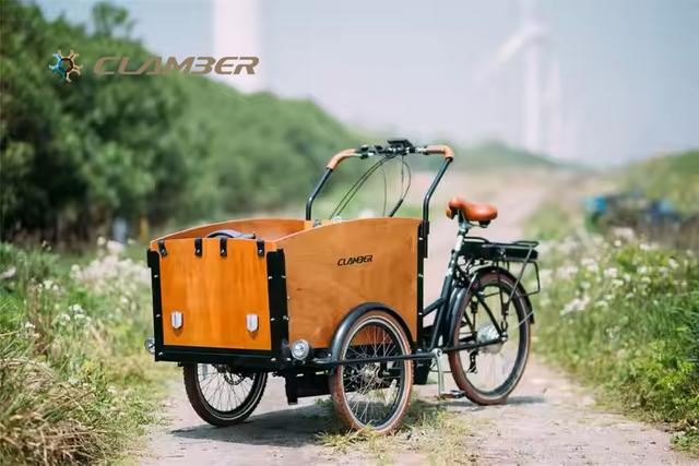 UB9031E-250W Electric Trike 6-Speed 3-Wheel Cargo Bike 