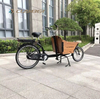 UB9015E-Nexus 3 Speeds 250W Rear Hub Motor Electric Cargo Bike
