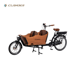 UB9016E-N7S 250W Electric Cargo Bike