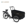 UB9036E Family Electric Cargo Bikes for kids