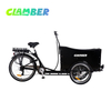 UB9019-7S Three Wheel Pedal Cargo Bike for Family