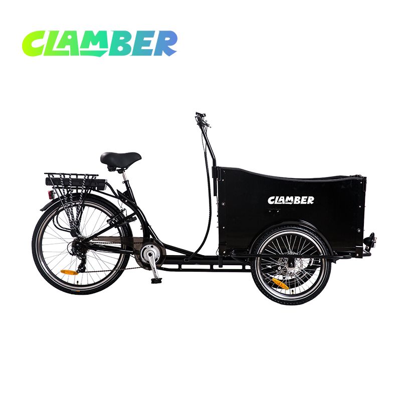 UB9019-7S Three Wheel Pedal Cargo Bike for Family