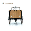 UB9031E-250W Electric Trike 6-Speed 3-Wheel Cargo Bike 