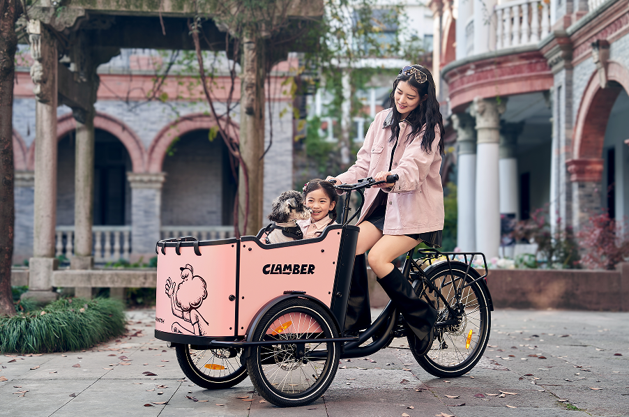 Love a Cargo Bike like a Lover, Daily Maintenance can not be less! 