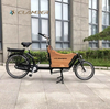 UB9015E-Nexus 3 Speeds 250W Rear Hub Motor Electric Cargo Bike