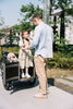 UB9060E 8 Speeds Electric Family Cargo Bike