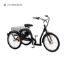 GW7019E 3 wheel electric tricycle