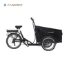 UB9036E Family Electric Cargo Bikes for kids