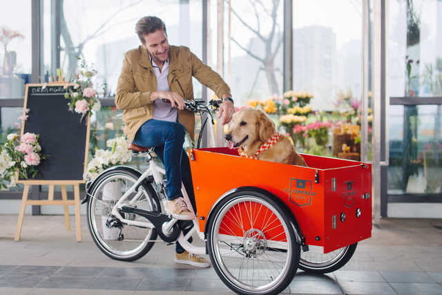 UB9042E-6S Adult Electric Cargo Bike