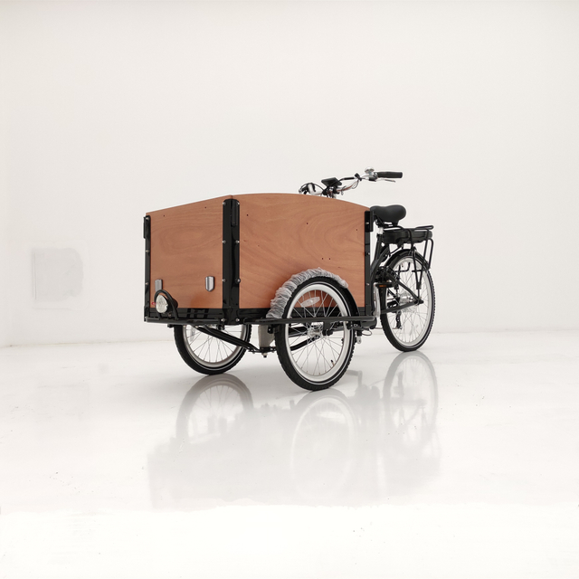 UB9040E-6S Denmark Popular Electric Bicycle Kids Cargo Trailer with Three Wheel