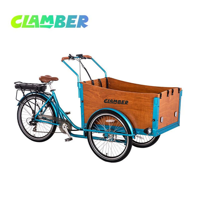 UB9032E-6S Family Electric Cargo Bike with Hydraulic Disc Brake