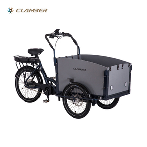 UB9046E Alloy Frame Cargo Bike 250W Mid Motor Cargo Bike Tricycle Electric with Wood Box
