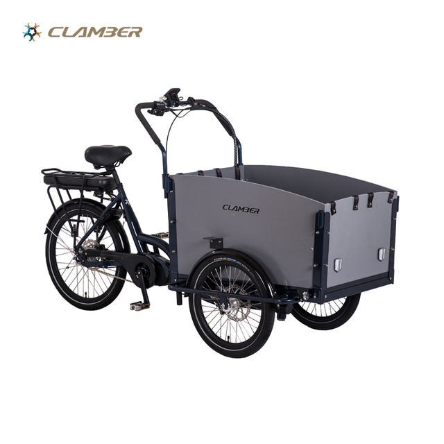 UB9046E Alloy Frame Cargo Bike 250W Mid Motor Cargo Bike Tricycle Electric with Wood Box