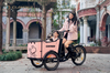 UB9050E 8 Speeds Electric Cargo Bike