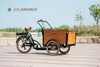 UB9031E-250W Electric Trike 6-Speed 3-Wheel Cargo Bike 