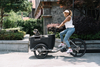 UB9060E 8 Speeds Electric Family Cargo Bike